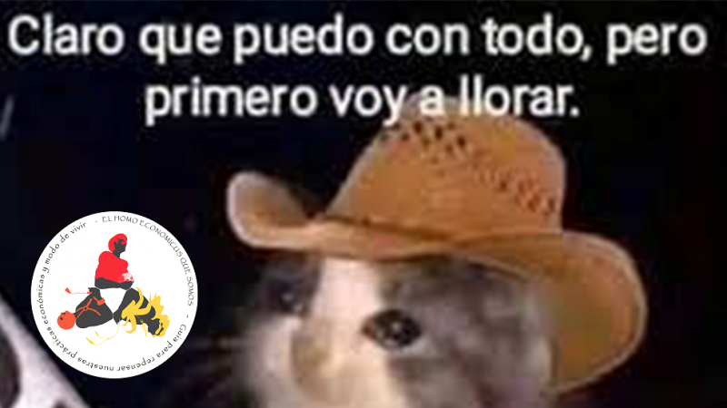 "El Homo Economicus que somos", el libro mendocino con "memes" para entender la economía